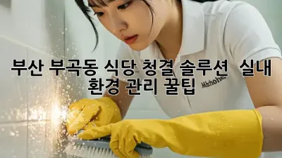 부산 부곡동 식당 청결 솔루션 ✨ 실내 환경 관리 꿀팁 💯