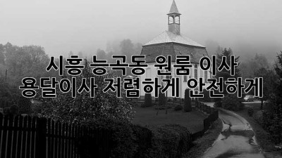 시흥 능곡동 원룸 이사, 용달이사 저렴하게 안전하게!